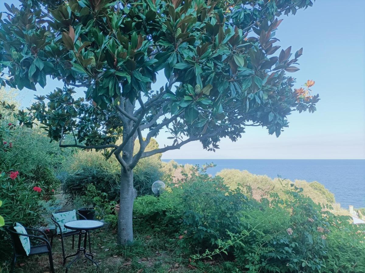 Villa Magnolia Santa-Maria-di-Lota Kültér fotó