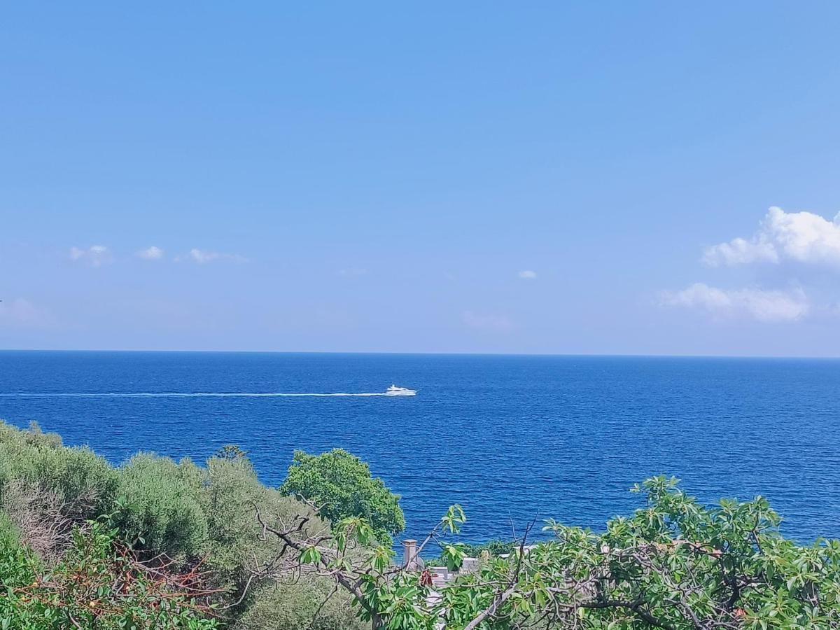 Villa Magnolia Santa-Maria-di-Lota Kültér fotó