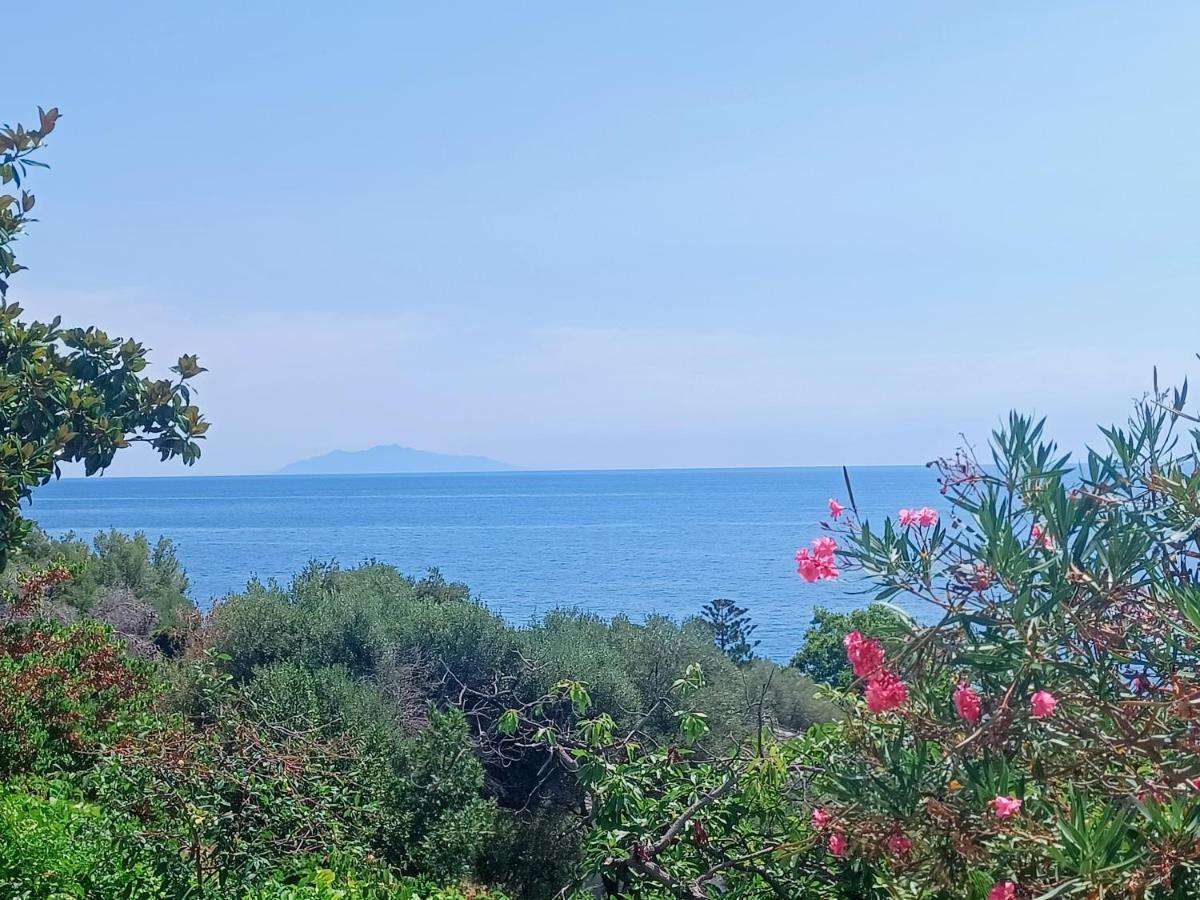 Villa Magnolia Santa-Maria-di-Lota Kültér fotó