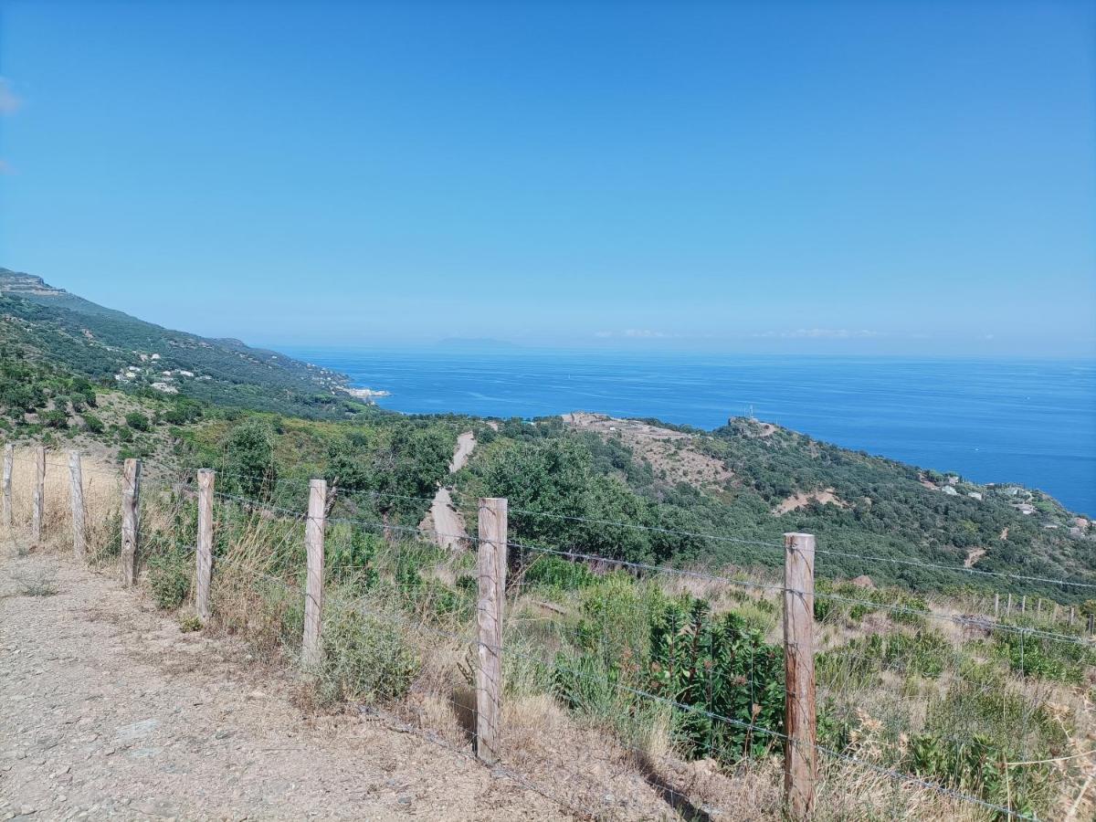 Villa Magnolia Santa-Maria-di-Lota Kültér fotó