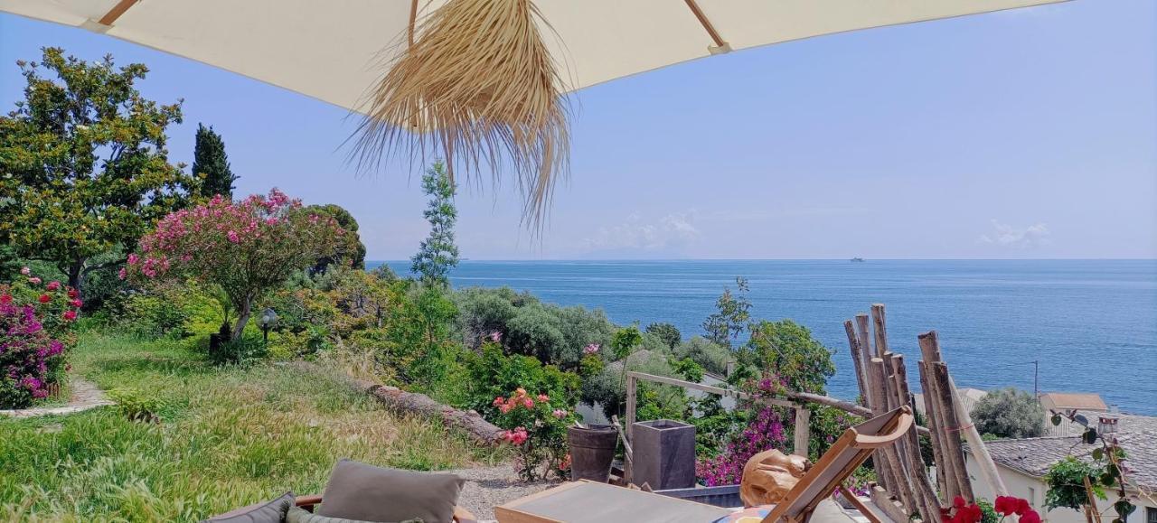 Villa Magnolia Santa-Maria-di-Lota Kültér fotó